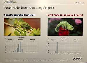 Beispiel für Anpassung und fehlende Anpassung